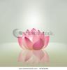 beautiful-pink-lotus-flower-with-reflection-87423290-thumbnail